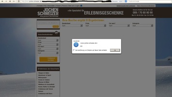 Screenshot der Cross Site-Scripting Lücke