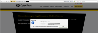 Cyberghost.com XSS 1 Screenshot der ersten XSS Lücke