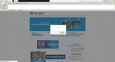 Screenshot einer Cross Site-Scripting Lücke